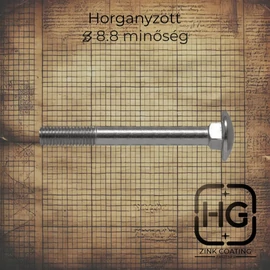 Horganyzott kapupántcsavar, DIN 603 szabványú, 8.8 minőségű